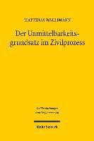 Der Unmittelbarkeitsgrundsatz im Zivilprozess
