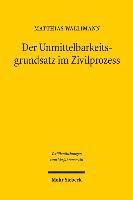 Der Unmittelbarkeitsgrundsatz im Zivilprozess 1