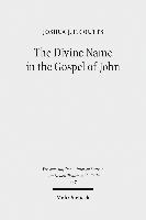 bokomslag The Divine Name in the Gospel of John