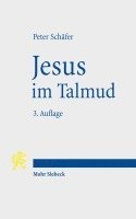 bokomslag Jesus im Talmud