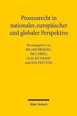 bokomslag Prozessrecht in nationaler, europischer und globaler Perspektive