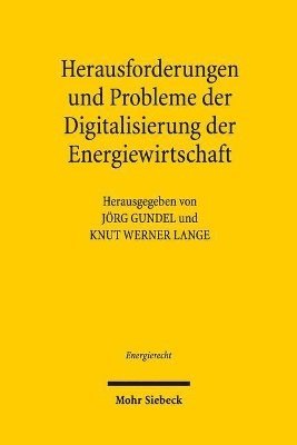 Jörg Gundel, Knut Werner Lange - Herausforderungen und Probleme der Digitalisierung der Energiewirtschaft, Häftad