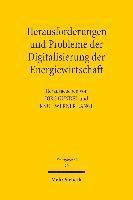 bokomslag Herausforderungen und Probleme der Digitalisierung der Energiewirtschaft