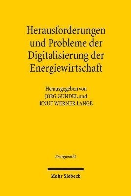 Herausforderungen und Probleme der Digitalisierung der Energiewirtschaft 1