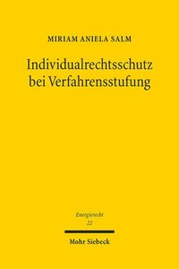 bokomslag Individualrechtsschutz bei Verfahrensstufung