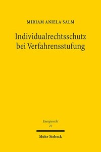 bokomslag Individualrechtsschutz bei Verfahrensstufung