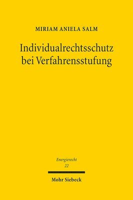 bokomslag Individualrechtsschutz bei Verfahrensstufung