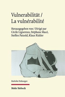 Cécile Lignereux, Stéphane Macé, Steffen Patzold, Klaus Ridder - Vulnerabilität / La vulnérabilité, Inbunden