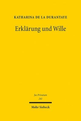 bokomslag Erklrung und Wille