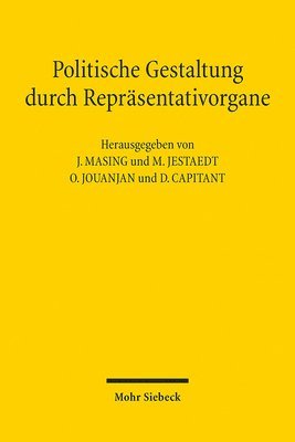 bokomslag Politische Gestaltung durch Reprsentativorgane