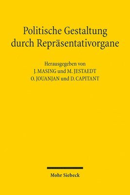 bokomslag Politische Gestaltung durch Reprsentativorgane