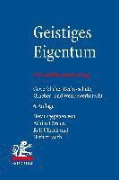 Achim Foerster, Ralf Uhrich, Herbert Zech, Achim Forster - Geistiges Eigentum, Häftad