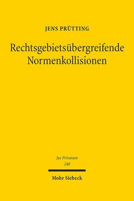 bokomslag Rechtsgebietsbergreifende Normenkollisionen