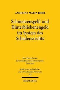 bokomslag Schmerzensgeld und Hinterbliebenengeld im System des Schadensrechts