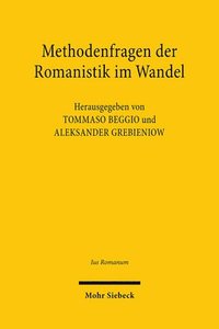 bokomslag Methodenfragen der Romanistik im Wandel