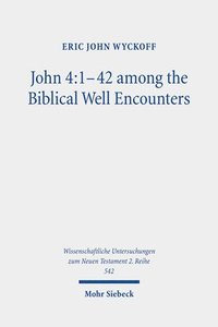 bokomslag John 4:1-42 among the Biblical Well Encounters