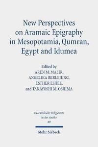 bokomslag New Perspectives on Aramaic Epigraphy in Mesopotamia, Qumran, Egypt and Idumea