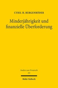 bokomslag Minderjhrigkeit und finanzielle berforderung