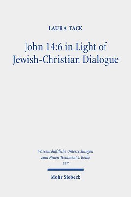 bokomslag John 14:6 in Light of Jewish-Christian Dialogue