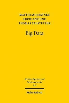Matthias Leistner, Lucie Antoine, Thomas Sagstetter - Big Data, Häftad