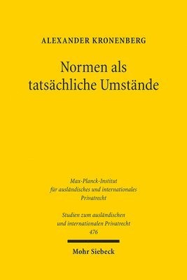 bokomslag Normen als tatschliche Umstnde