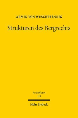 bokomslag Strukturen des Bergrechts