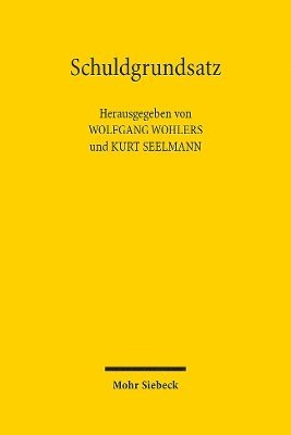 Wolfgang Wohlers, Kurt Seelmann - Schuldgrundsatz, Inbunden