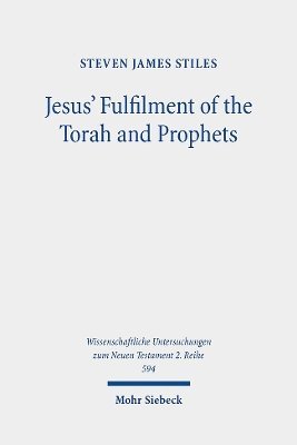 bokomslag Jesus' Fulfilment of the Torah and Prophets