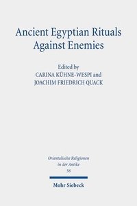 bokomslag Ancient Egyptian Rituals Against Enemies
