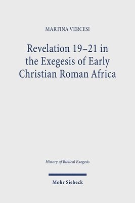 bokomslag Revelation 19-21 in the Exegesis of Early Christian Roman Africa