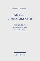 Arbeit am Orientierungswissen 1