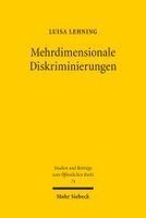 Luisa Lehning - Mehrdimensionale Diskriminierungen, Häftad