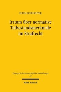 bokomslag Irrtum ber normative Tatbestandsmerkmale im Strafrecht