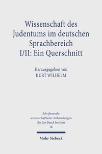 bokomslag Wissenschaft des Judentums im deutschen Sprachbereich