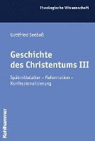 bokomslag Geschichte Des Christentums III: Spatmittelalter - Reformation - Konfessionalisierung