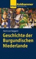 bokomslag Geschichte Der Burgundischen Niederlande
