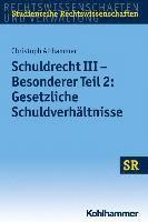 bokomslag Schuldrecht III - Besonderer Teil 2: Gesetzliche Schuldverhaltnisse
