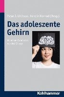 bokomslag Das Adoleszente Gehirn