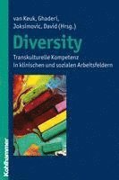 bokomslag Diversity: Transkulturelle Kompetenz in Klinischen Und Sozialen Arbeitsfeldern