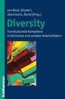 Eva Van Keuk, Cinur Ghaderi, Eva van Keuk, Ljiljana Joksimovic, Dagmar M. David - Diversity: Transkulturelle Kompetenz in Klinischen Und Sozialen Arbeitsfeldern, Häftad