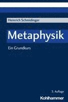 Heinrich Schmidinger - Metaphysik: Ein Grundkurs, Häftad