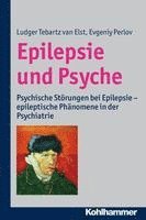 bokomslag Epilepsie Und Psyche: Psychische Storungen Bei Epilepsie - Epileptische Phanomene in Der Psychiatrie