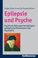 Ludger Tebartz Van Elst, Evgeniy Perlov, Ludger Tebartz van Elst - Epilepsie Und Psyche: Psychische Storungen Bei Epilepsie - Epileptische Phanomene in Der Psychiatrie, Häftad