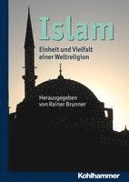 bokomslag Islam: Einheit Und Vielfalt Einer Weltreligion