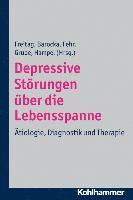 Arnd Barocka, Christoph Fehr - Depressive Storungen Uber Die Lebensspanne: Atiologie, Diagnostik Und Therapie, Häftad