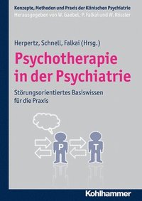 bokomslag Psychotherapie in der Psychiatrie