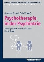 bokomslag Psychotherapie in Der Psychiatrie: Storungsorientiertes Basiswissen Fur Die PRAXIS