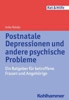 bokomslag Postnatale Depressionen Und Andere Psychische Probleme: Ein Ratgeber Fur Betroffene Frauen Und Angehorige