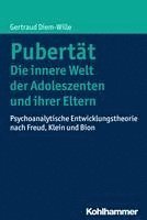 bokomslag Pubertät - Die innere Welt der Adoleszenten und ihrer Eltern