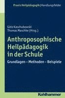 bokomslag Anthroposophische Heilpadagogik in Der Schule: Grundlagen - Methoden - Beispiele